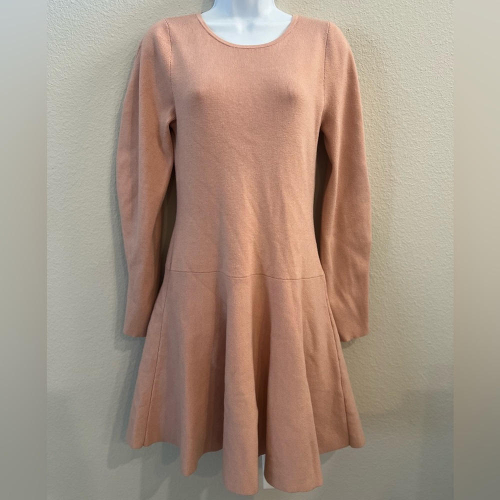 Express Blush Long Sleeve Mini Dress - Picture 2 of 7
